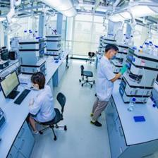守正出新，正道致遠——從技術開發看勁牌2019社會責任擔當
